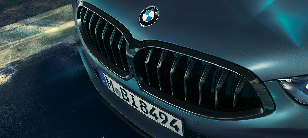BMW M850i Coupé First Edition, doppio rene BMW Primo piano del doppio rene BMW della BMW M850i Coupé First Edition